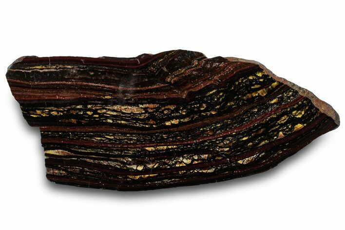 Polished Tiger Iron Stromatolite Slab - Billion Years #319380